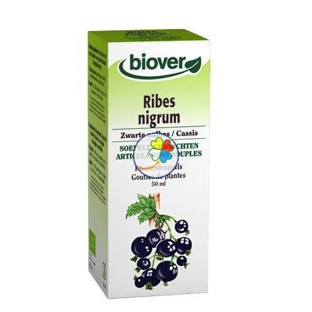 RIBES NIGRUM (GROSELLERO NEGRO) BIOVER 50 ML TINTURA