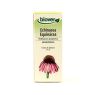 EXTRACTO TINTURA EQUINACEA BIO 50ML BIOVER