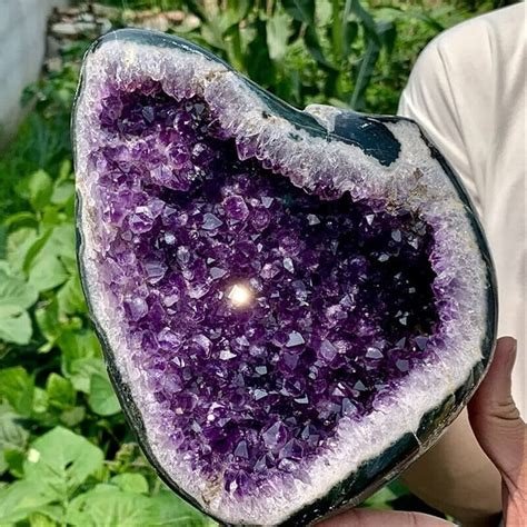 GEODA DE AMATISTA