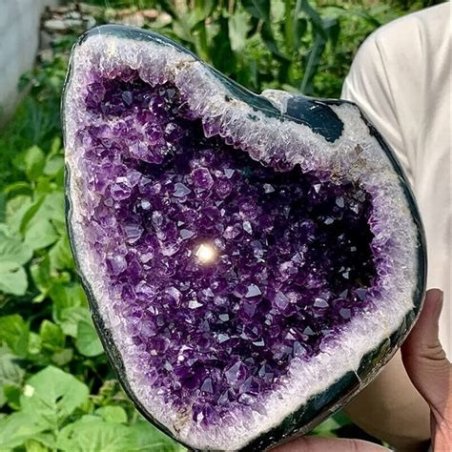 GEODA DE AMATISTA