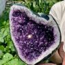 GEODA DE AMATISTA