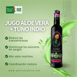 JUGO ALOE VERA Y TUNO INDIO 300 ML PENCA ZABILA
