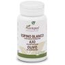AJO, ESPINO BLANCO Y OLIVO PLANTAPOL 100 COMPRIMIDOS