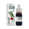 EXTRACTO DE GAYUBA 50ML SORIA NATURAL