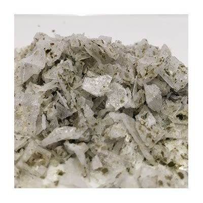 ESCAMAS DE SAL CON ALGAS