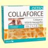 OSTEO COLLAFORCE 20 SOBRES DIETMED