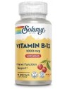 VITAMINA B12 2000 MCG 90 COMPRIMIDOS SOLARAY