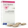 LACTIBIANE HPY 42 CAPSULAS PILEJE