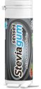 CHICLE STEVIAGUM FRUITS FRESA