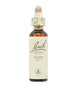 BACH 23 OLIVE (OLIVO) 20 ML