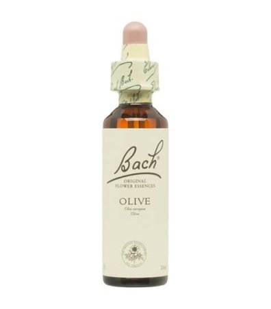 BACH 23 OLIVE (OLIVO) 20 ML