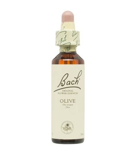 BACH 23 OLIVE (OLIVO) 20 ML