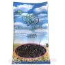 TE BLANCO PLANTA HERBES MOLI