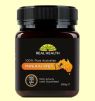 MIEL DE MANUKA DE AUSTRALIA MGO 100 500 GR REAL HEALTH