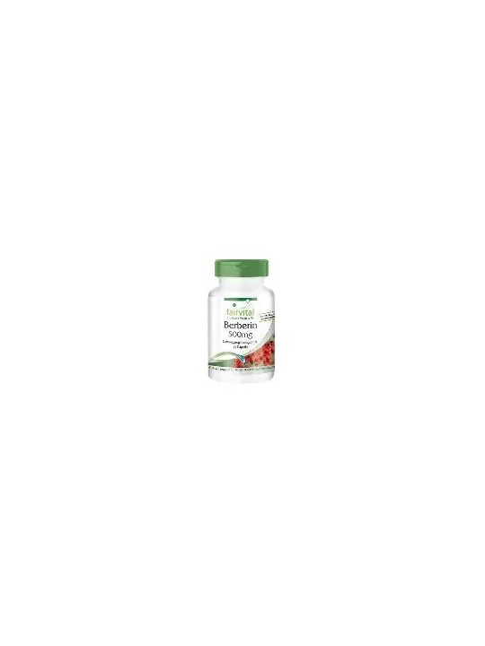 BERBERINA 500MG 90 CAPSULAS FAIRVITAL