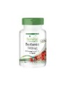 BERBERINA 500MG 90 CAPSULAS FAIRVITAL