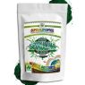 SPIRULINA POLVO VEGANA MUNDO ARCOIRIS