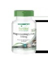 BISGLICINATO DE MAGNESIO 500MG 90 CAPSULAS FAIRVITAL