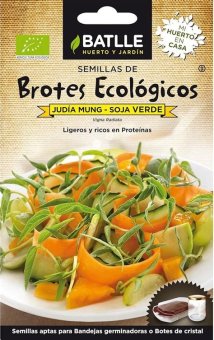 BROTES SOJA VERDE BATLLE