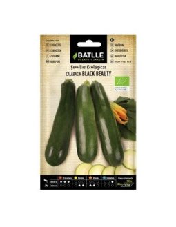 SEMILLA CALABACIN  BEAUTY ECO BATLLE