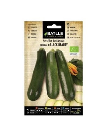 SEMILLA CALABACIN  BEAUTY ECO BATLLE