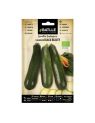 SEMILLA CALABACIN  BEAUTY ECO BATLLE