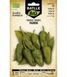 SEMILLAS PIMIENTO PADRON BATLLE