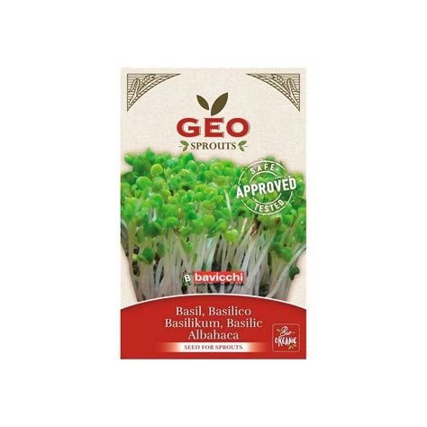 ALBAHACA SEMBRAR/GERMINAR 10 GR. GEO