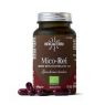 MICO REI 70 CAPSULAS HDT HIFAS DA TERRA