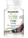 CHAGA 500MG 90 CAPSULAS FAIRVITAL