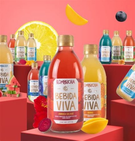 BEBIDA DE KOMBUCHA 700ML CALL VALLS