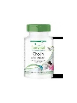 CHOLIN PLUS INOSITOL 100 TABLETAS FAIRVITAL