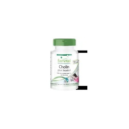 CHOLIN PLUS INOSITOL 100 TABLETAS FAIRVITAL