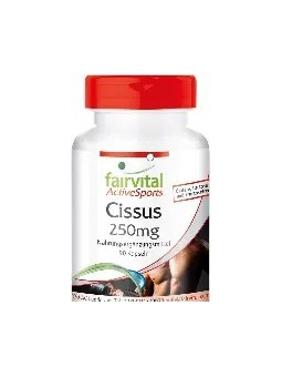 CISSUS 90 CAPSULAS FAIRVITAL
