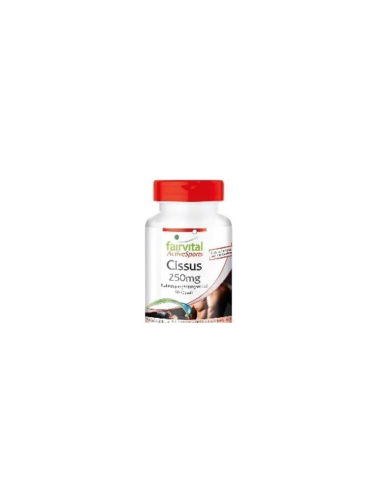 CISSUS 90 CAPSULAS FAIRVITAL