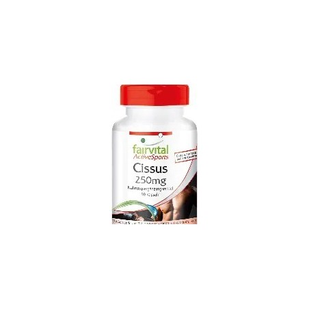 CISSUS 90 CAPSULAS FAIRVITAL