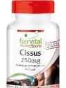 CISSUS 90 CAPSULAS FAIRVITAL