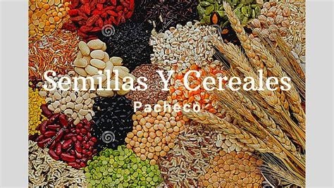VISTTECA DE CEREALES Y SEMILLAS 90G