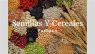 VISTTECA DE CEREALES Y SEMILLAS 90G