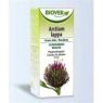 BARDANA EXTRACTO BIOVER 50ML