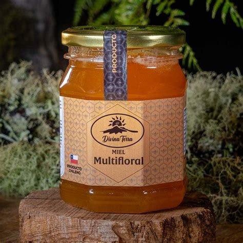 MIEL MULTIFLORAL EL TEIDE 300 G