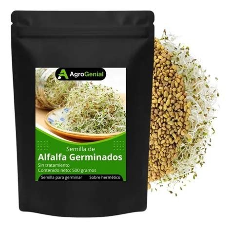 ALFALFA SEMILLAS PARA GERMINAR