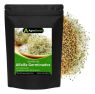ALFALFA SEMILLAS PARA GERMINAR