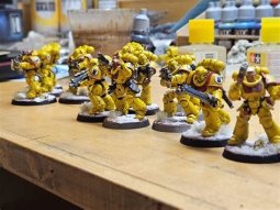 CDB 7 % CANARY CREW
