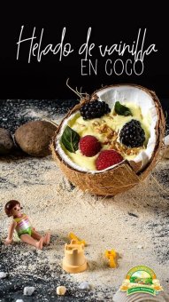 HELADO COCO 500GR* VAINILLA BOOJA