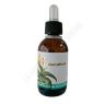 KALANCHOE BEBIDA ESPIRITUOSA 50ML LUMEN