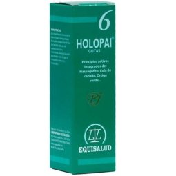 HOLOPAI 6 ANTIINFLAMATORIO EQUISALUD