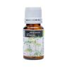 ESENCIA HINOJO 10ML PLANTIS