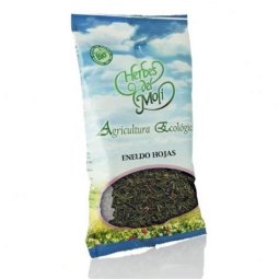 ENELDO PLANTA HERBES DEL MOLI