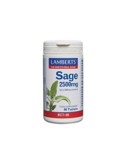 SALVIA 90 COMPRIMIDOS 2500MG  LAMBERTS